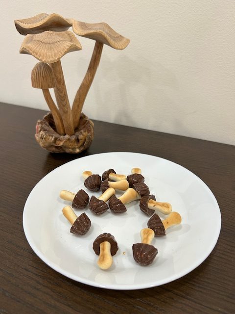 Funny Mushrooms Cookies