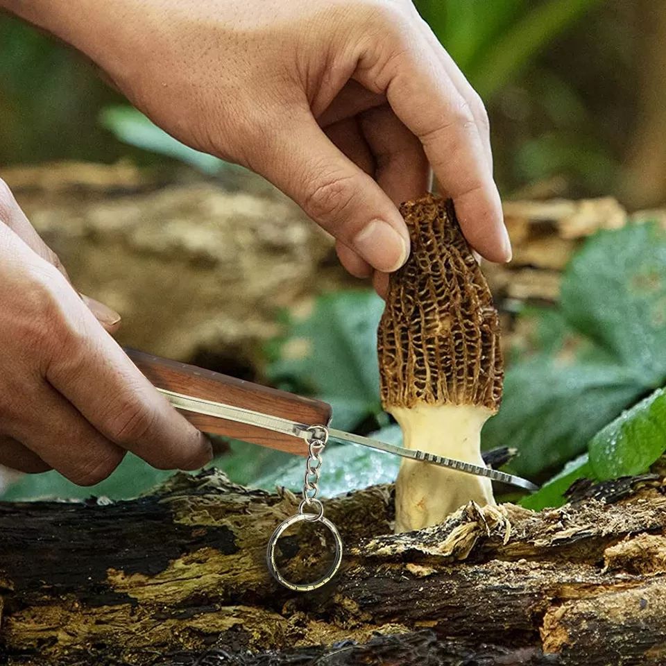 Mushroom Hunting Knife - Image 3