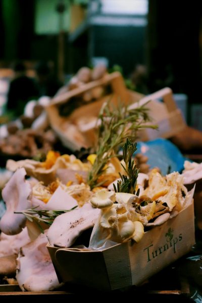 sandie-clarke-G4Ta2LoK9Nw-unsplash